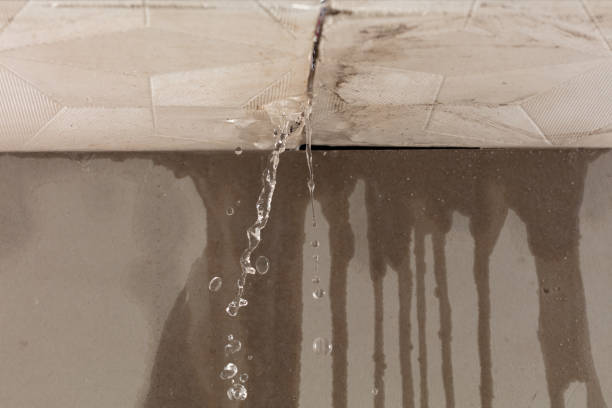 Professional Water Damage Repair technician working in Deerfield, IL